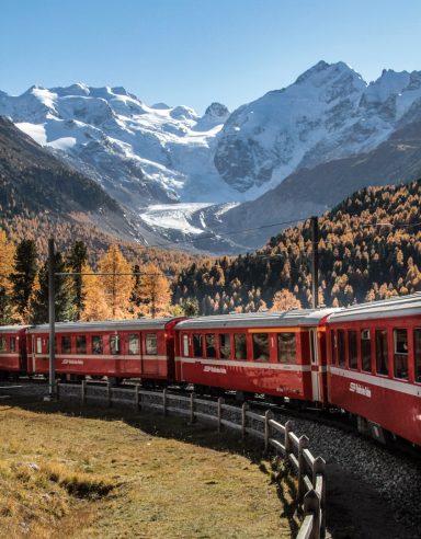 Bernina Express Tren rojo serpenteando entre árboles y montañas nevadas.